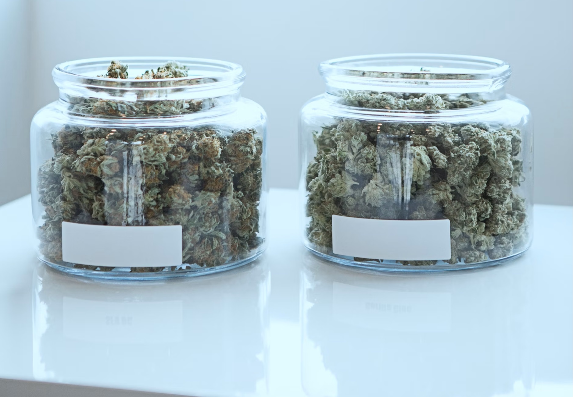 Exploring Bulk Discounts: How to Buy Cheap Weed in Canada in Larger Quantities