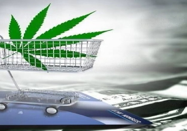 User Experience Matters: Designing Effective Online Platforms for Weed Purchases in Hamilton