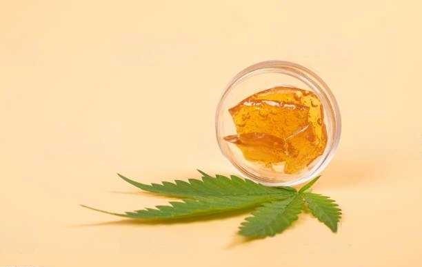 Exploring the Flavor Profiles of Popular Cannabis Extracts