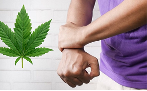 Cannabis for Chronic Pain