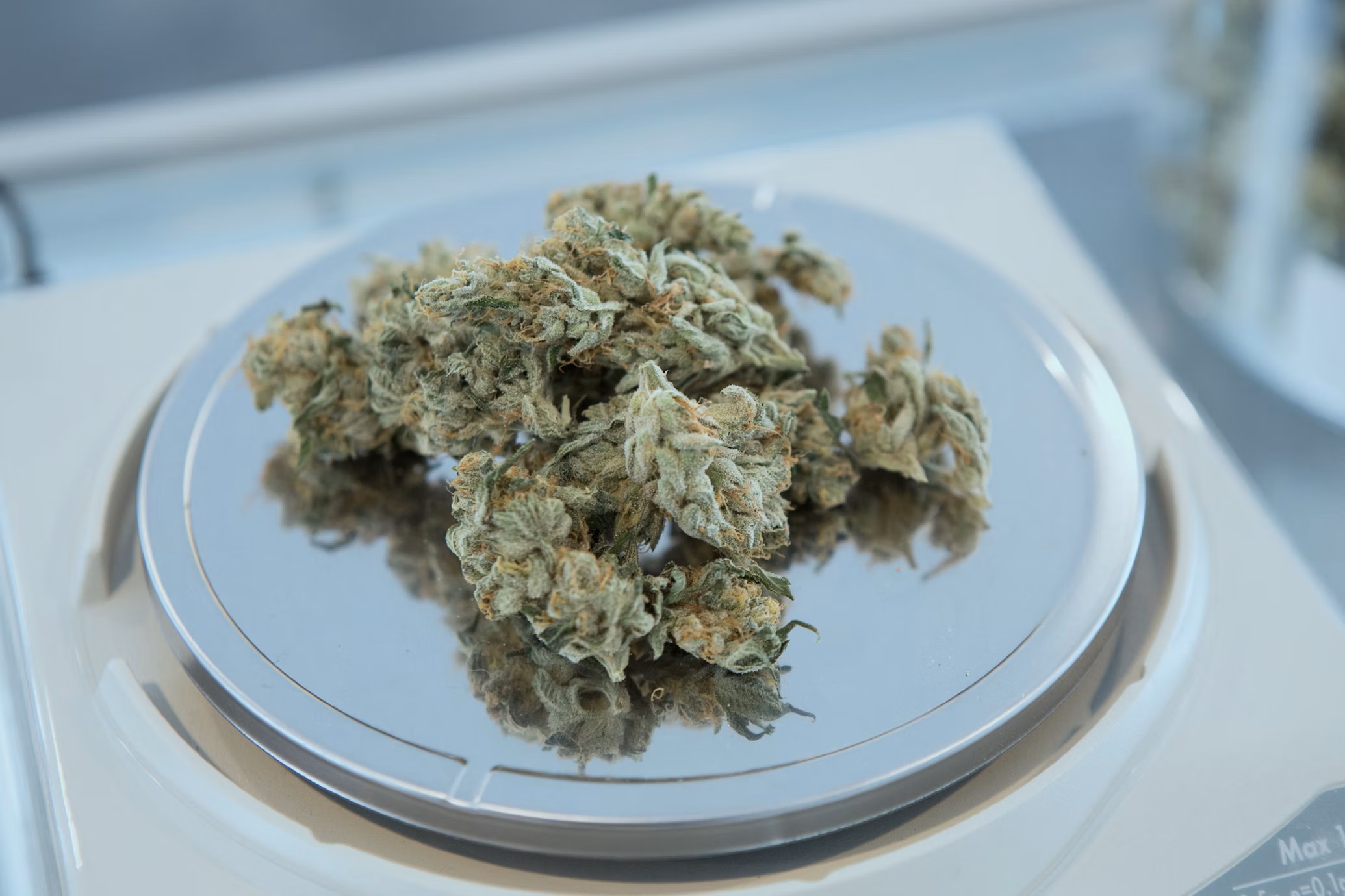 Top 5 Online Dispensaries for Bulk Weed in Canada