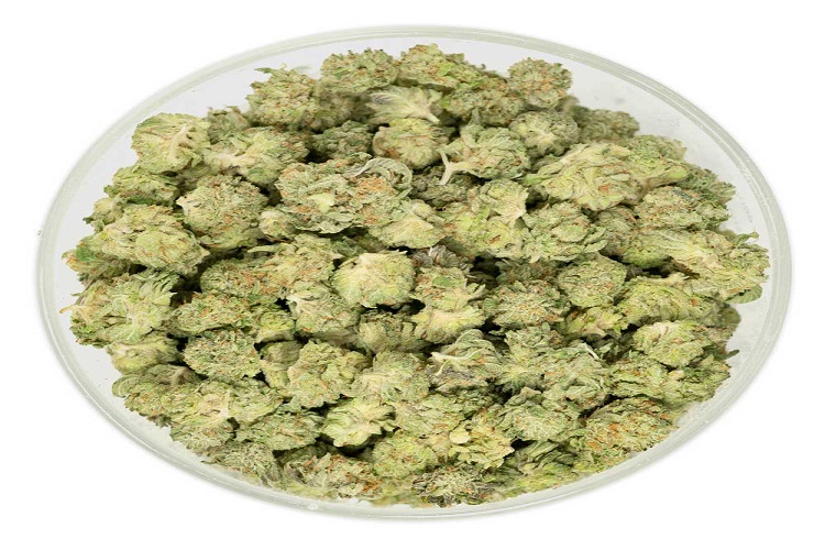 Why Popcorn Buds Are a Great Choice for Budget-Friendly Smokers